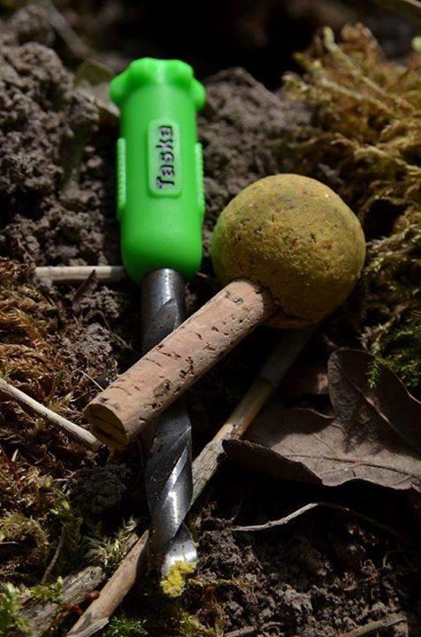 diverse adunate - 14641337557425811081061207771347n.jpg